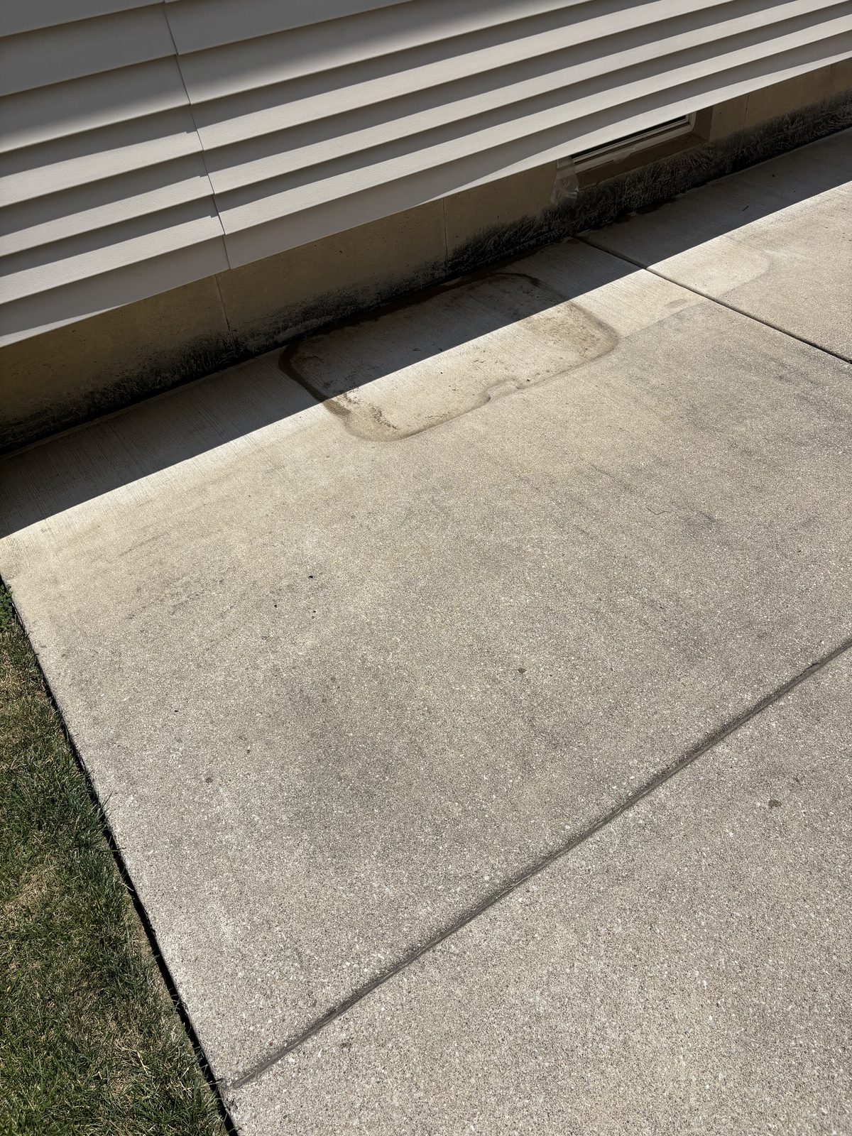 Before: Concrete patio and walkway cleaning