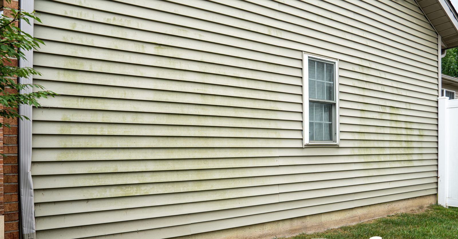 Before: Algae streaks removed from siding