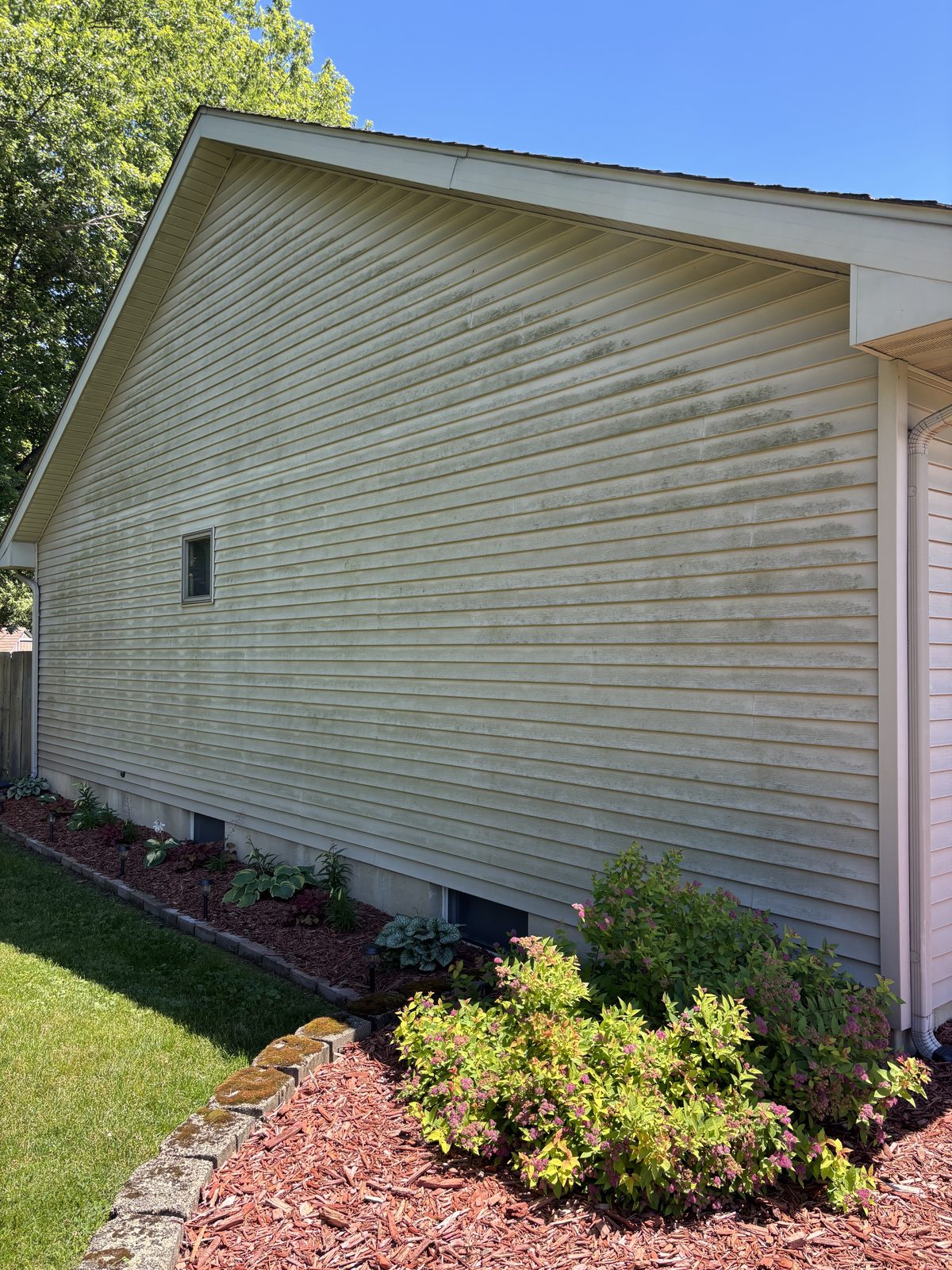 Before: House & Siding Washing